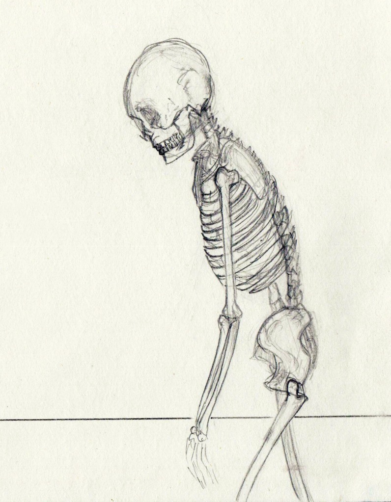  Skeleton Drawings From the library of Nat